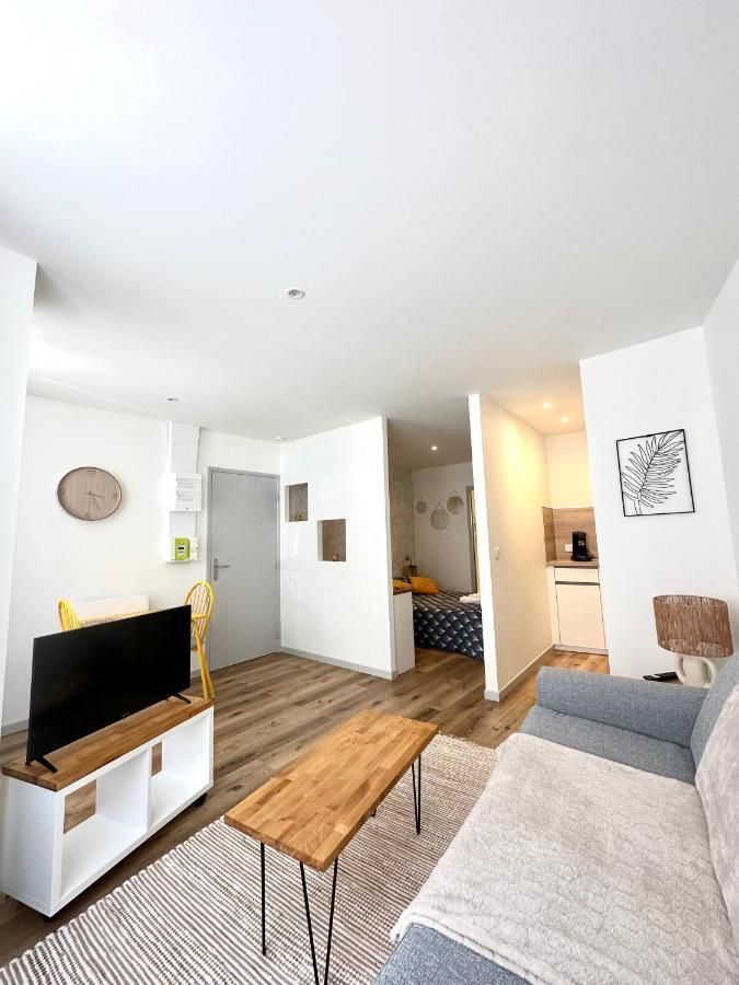 Bel Appartement En Plein Centre Ville Limoges Esterno foto